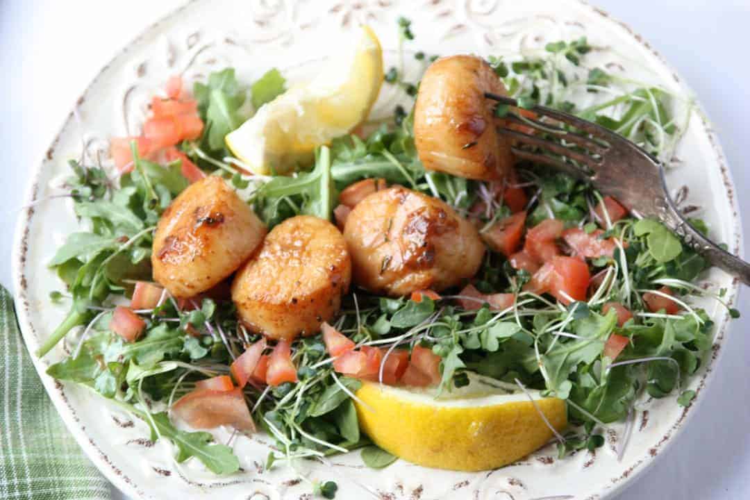 A plate of food